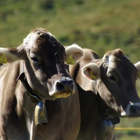 Kathrin - Kapplerhof