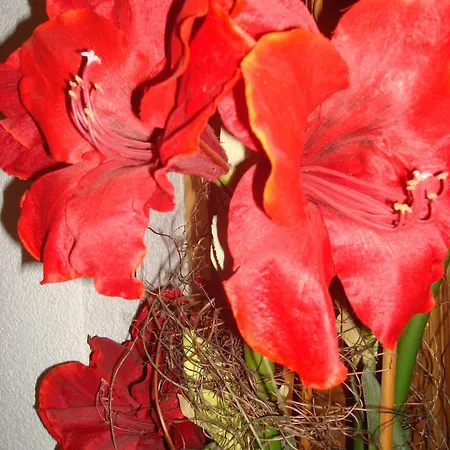 Kathrin - Kapplerhof