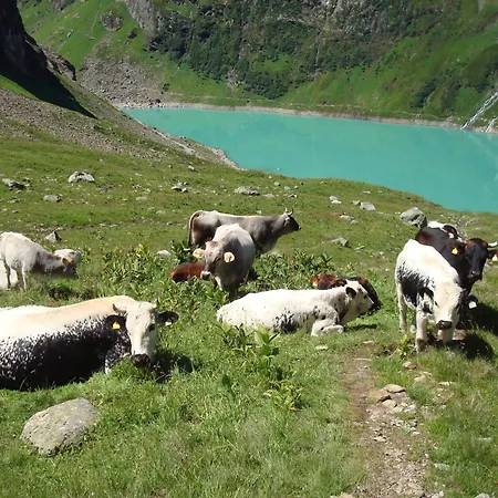 Apartament Kathrin - Kapplerhof *