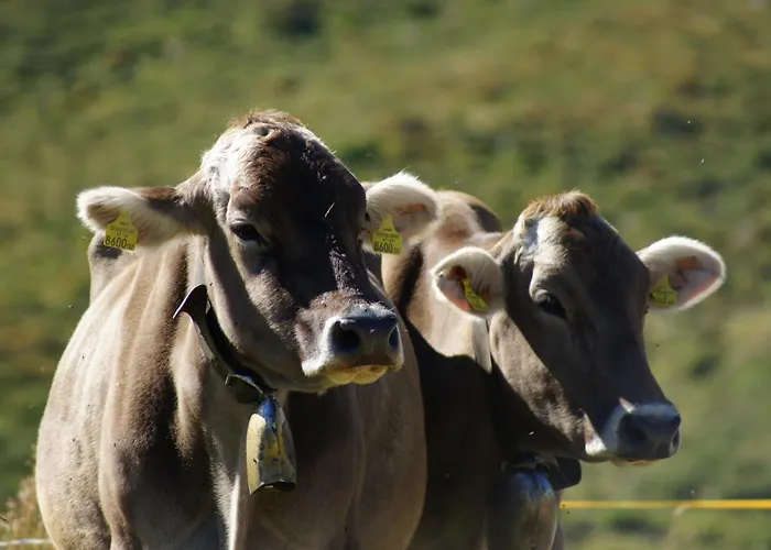 Kathrin - Kapplerhof