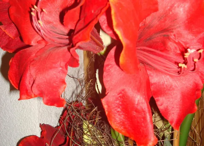 Kathrin - Kapplerhof