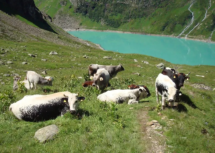 Апартаменты Kathrin - Kapplerhof *